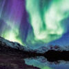 jodianderson16